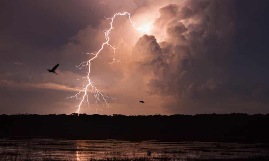 Lightning after dark at Fogg Dam conservation reserve in the Northern Territory
