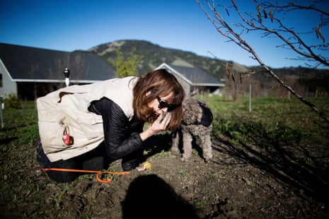 Staci O’Toole smells the soil at a Jackson Family Wines property, Santa Rosa, California.