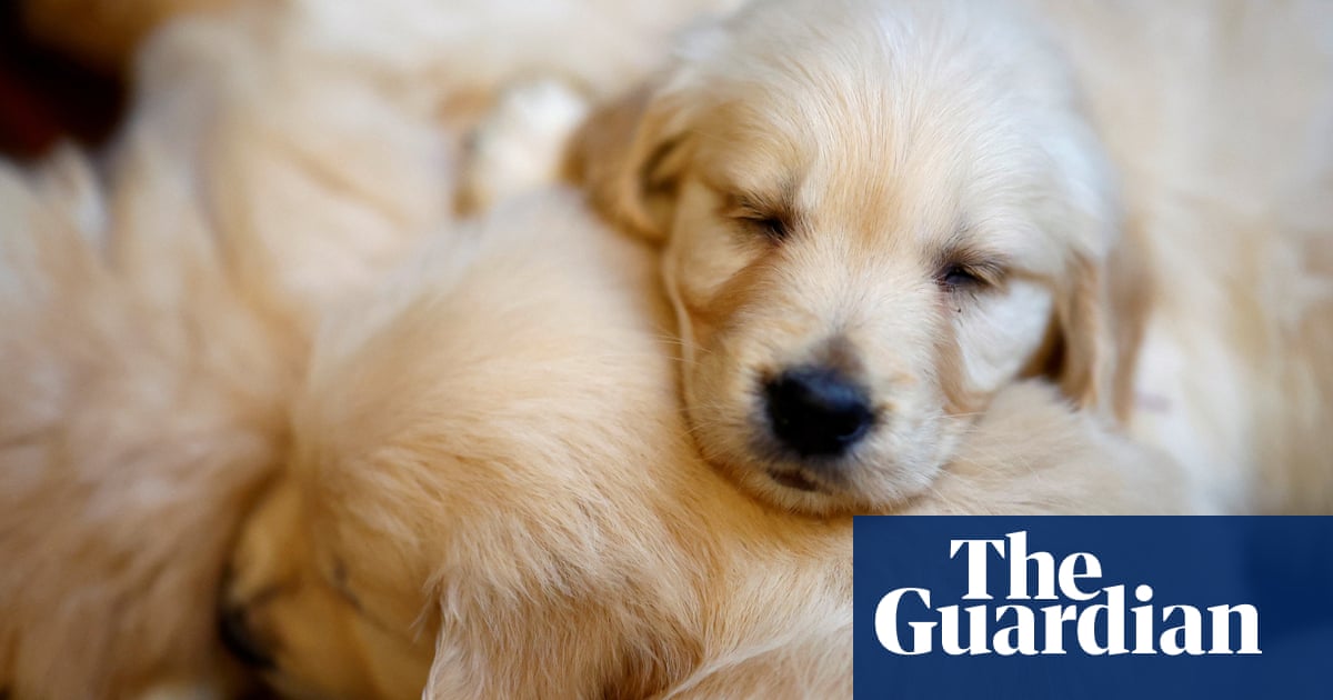 Преди нова изложба за привлекателността в съвременната култура бихме искали