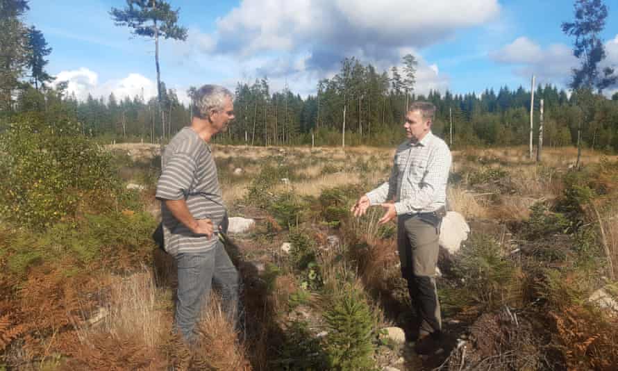 Magnus Bondesson of the Swedish Forest Agency, right, inspects Levin’s clear-cut land.