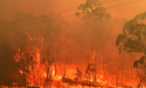 Bushfires