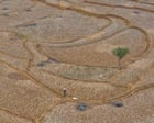 Huge El Niño projected to cause 450,000 deaths in next six months