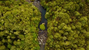 The Whanganui River as seen from above