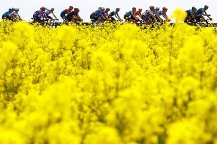 The peloton ride during the opening stage of this year’s Giro d’Italia
