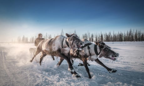 Stunning imagery from the Smithsonian’s 14th annual photo competition