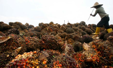 A worker arranges palm oil fruits in Dengkil, outside Kuala Lumpur, Malaysia