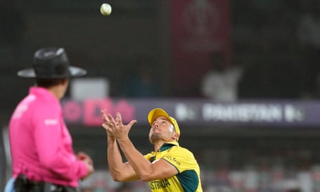 Great catch: Marcus Stoinis of Australia celebrates after taking a catch to dismiss Saud Shakeel.