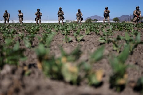 theguardian.com - Michael Sainato - US farm workers on Ice raids in the fields: 'hunted like animals'