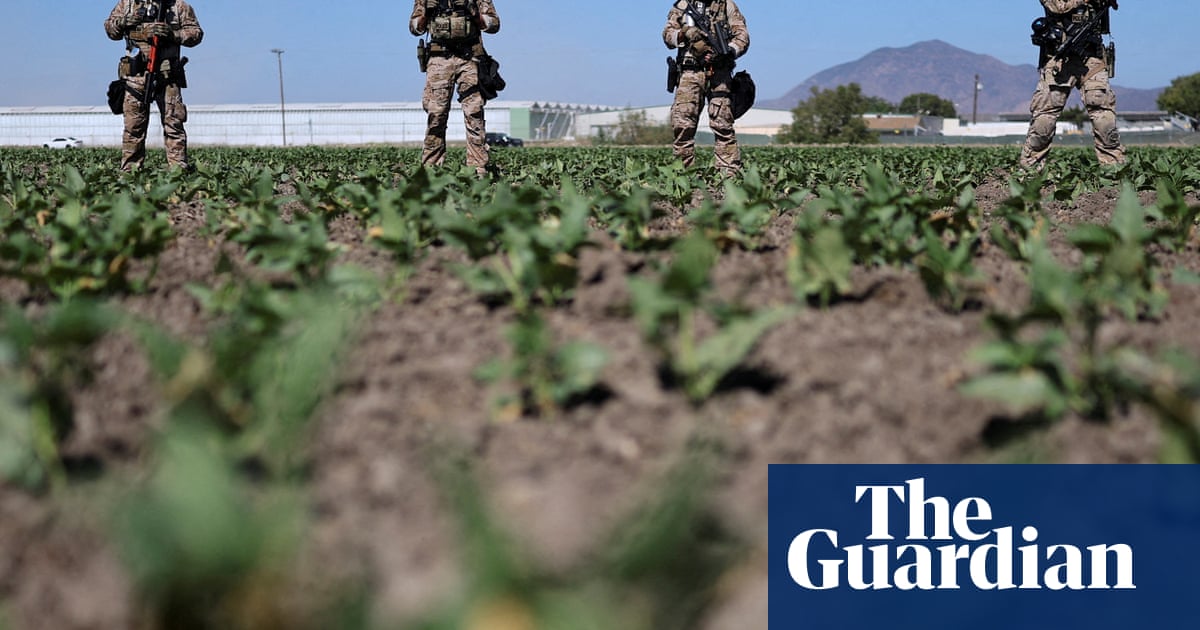 US farm workers on Ice raids in the fields: hunted like animals'