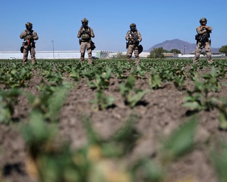 Federal agents standing guard next to a road leading to an agricultural facility