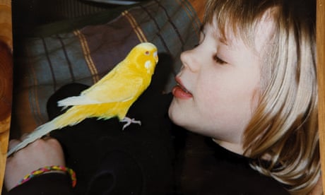 The pet I’ll never forget: Brighton Yellow, the budgie that interrupted dinner parties chirping, ‘Right! That’s enough!’
