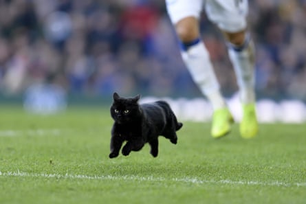 February 2: A black cat runs onto the pitch during the Premier League match between Everton and Wolverhampton Wanderers at Goodison Park.