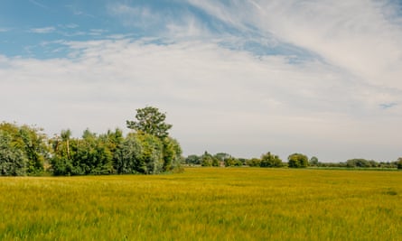 Field at Saint Dunstan’s church.