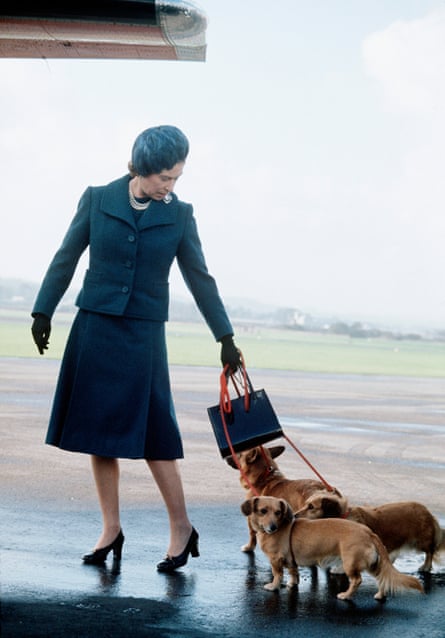 Queen Elizabeth ll at Aberdeen airport corralling her corgis in 1974.