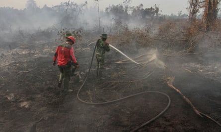 Fire fighters try to extinguish fire at a peatland in Kampar.