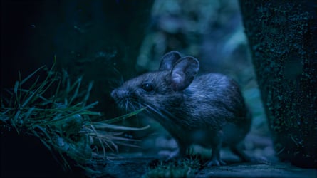 Secret Garden on BBC One.