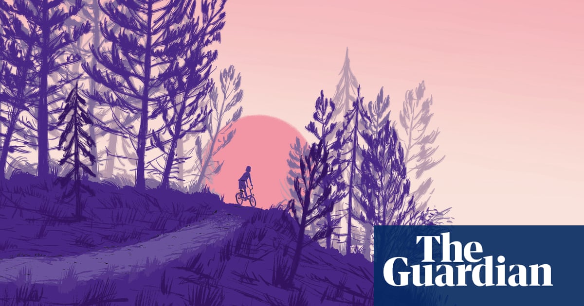 The girl in the box: the mysterious crime that shocked Germany | News | The Guardian