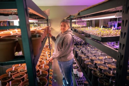 a woman stands between shelves of various plant seedlings in pots
