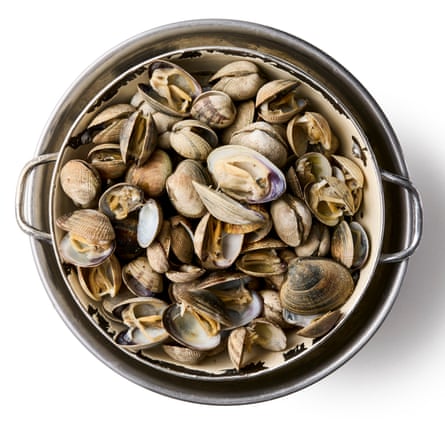 Step 5 clams in a colander