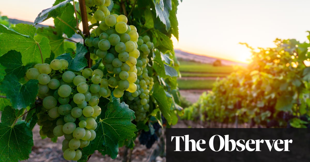 Mediterranean producers unite in the face of dire adversity