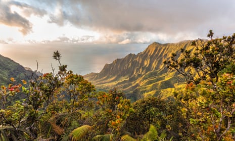 The Kalalau valley in the Na Pali coast state park. The helicopter’s owner contacted the coast guard about 45 minutes after the aircraft was due back from a tour of the area. 