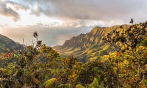 The Kalalau valley in the Na Pali coast state park. The helicopter’s owner contacted the coast guard about 45 minutes after the aircraft was due back from a tour of the area.