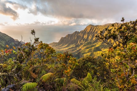 Kauai is known for its breathtaking scenery and laid-back vibe.