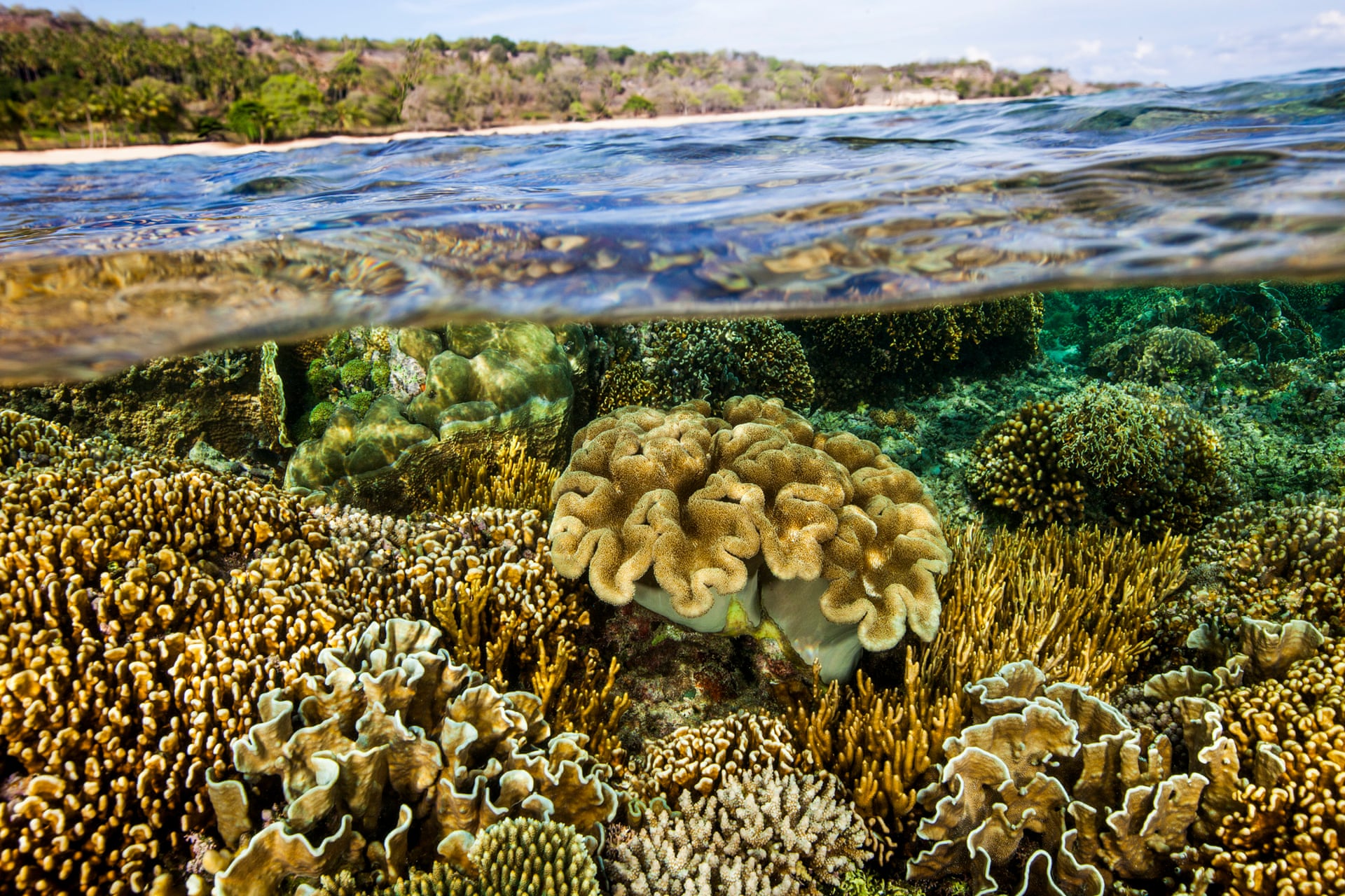 Source: Photo: Paul Hilton/Conservation International