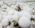 A garden is covered with hailstones in Les Esserts after a hail storm hit the western part of Switzerland