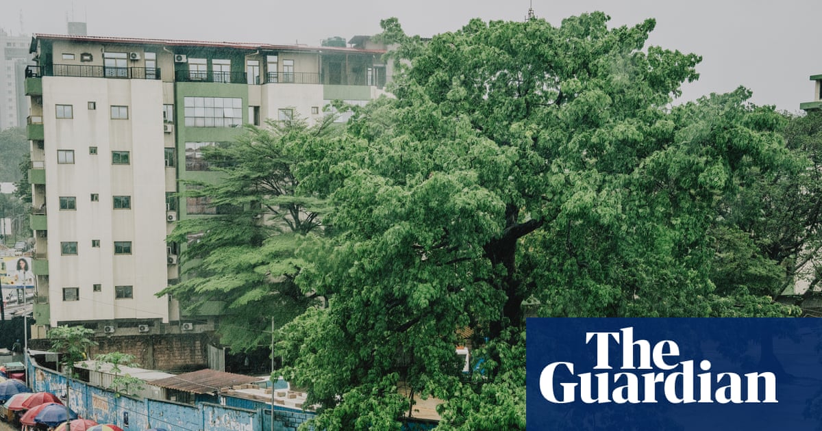 ‘The soul of the city’: can Kinshasa’s last remaining baobab tree be saved?
