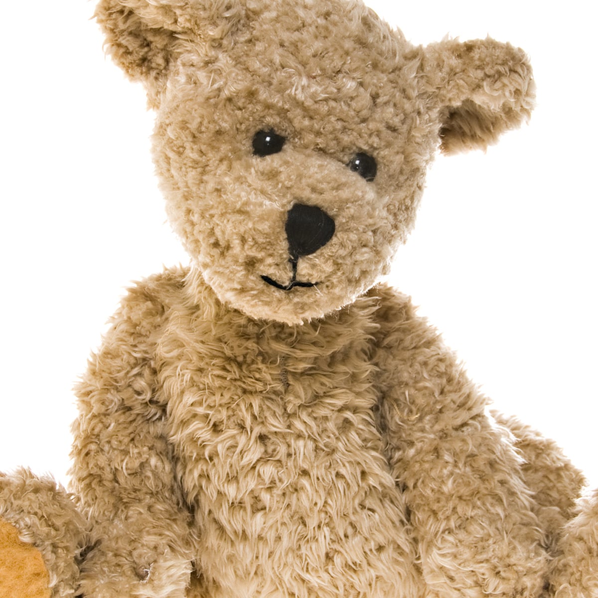 Girl's teddy bear with recording of late mom's heartbeat ...