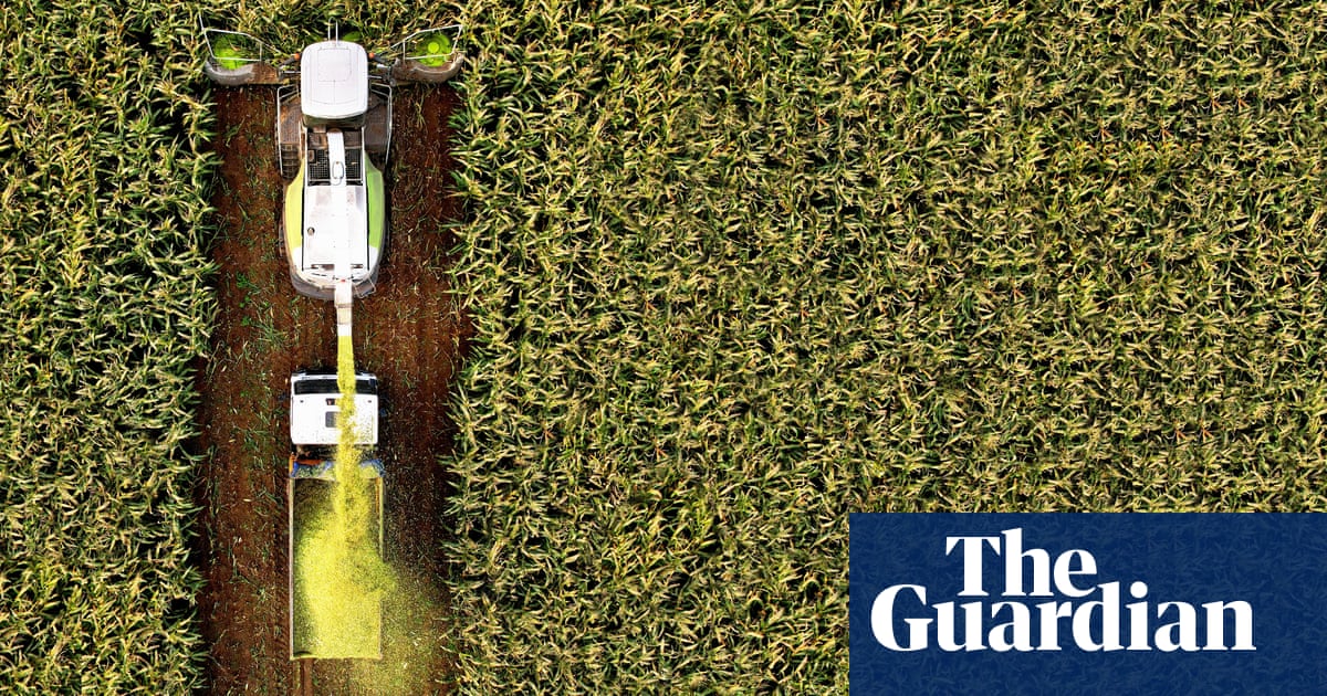 Key crop yields could fall due to climate crisis even if farmers adapt, study finds