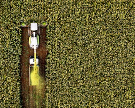 aerial view of field of maize being harvested