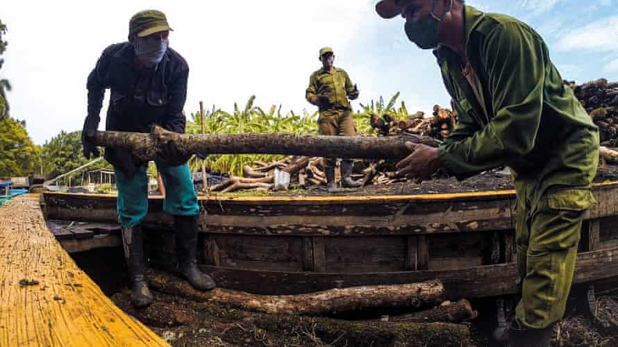 Charcoal producers unload wood from a boat in San Agustín