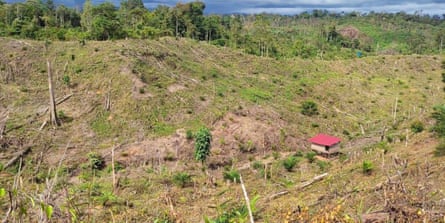 A valley that appears to have been cleared of trees with a small building in the middle of it