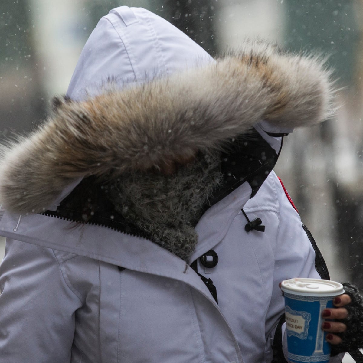 Ethical Down Is The Lining Of Your Winter Coat Nothing But Fluff