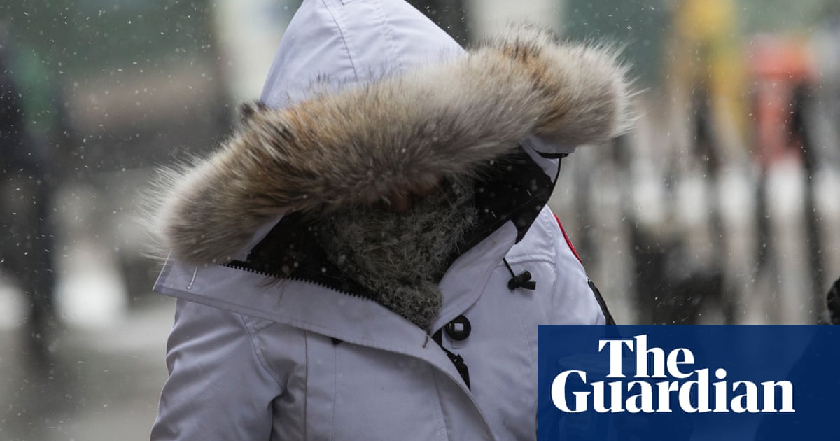 Ethical Down Is The Lining Of Your Winter Coat Nothing But Fluff