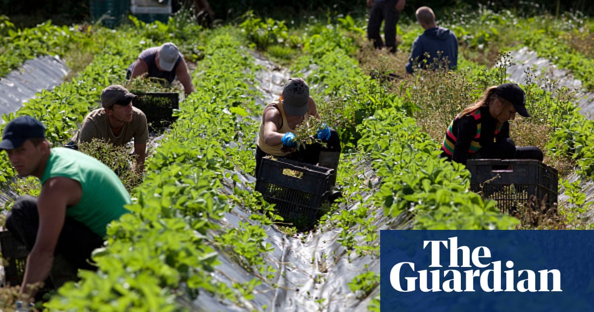 Farmers Call For Land Army To Sustain Uk Food Production During