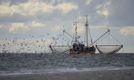 A fishing trawler surrounded by gulls.