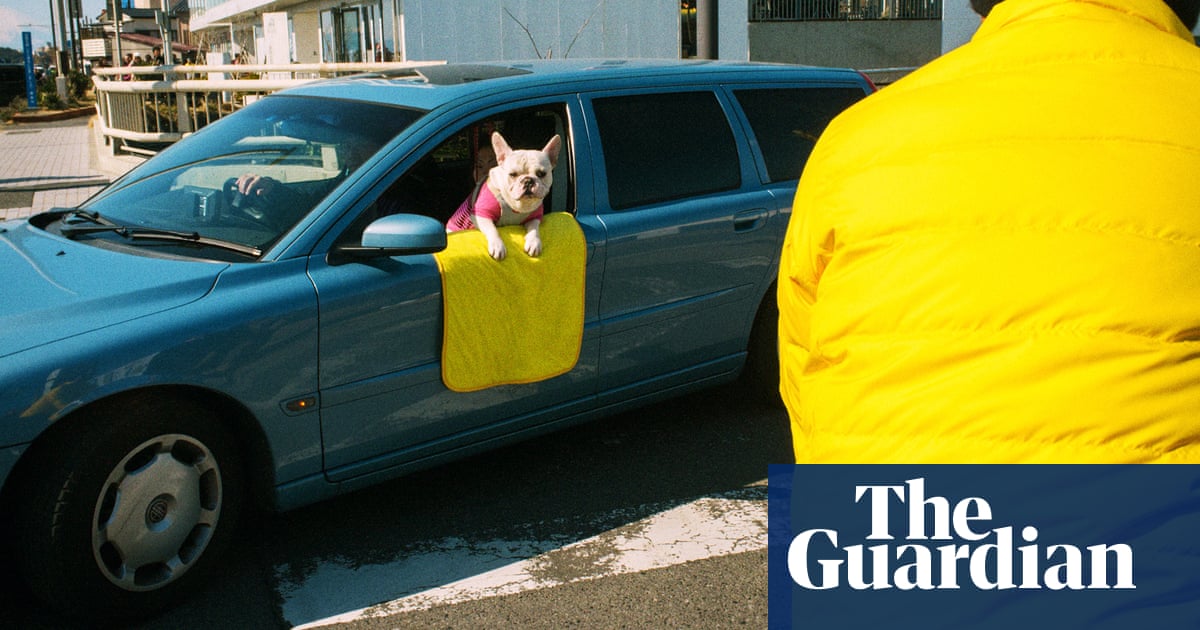 ¡Deslumbrantes perritos! Escenas callejeras japonesas coloridas – en imágenes | Arte y diseño ¡Deslumbrantes perritos! Escenas callejeras japonesas coloridas – en imágenes | Arte y diseño