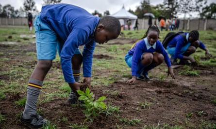 Students plant tree seedlings at a school playground in Nairobi during the nationwide tree planting public holiday on 13 November.
