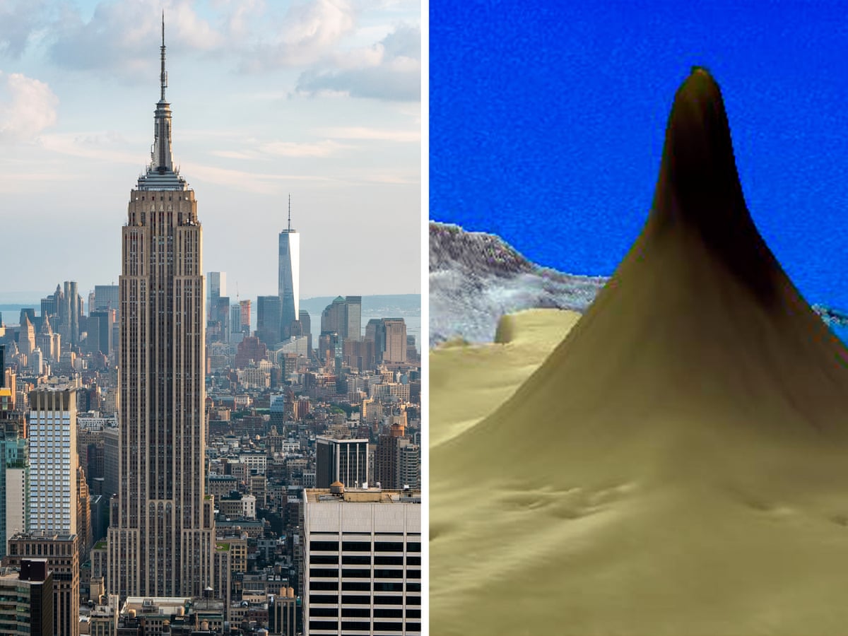 Scientists Discover 500 Metre Tall Skyscraper Coral Reef At Australia S Great Barrier Reef Great Barrier Reef The Guardian