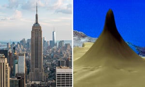 Comparative view between the Empire State Building and a coral reef 
