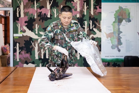 A man in fatigues wearing white gloves holds the body of an dead ape