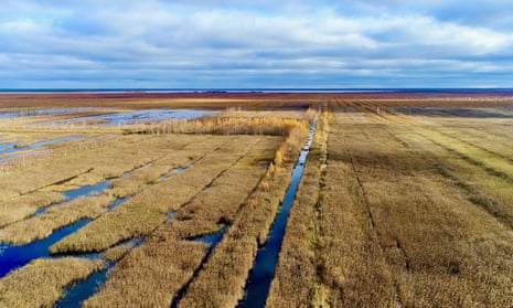 The Orshinski Mokh peatlands in the Tver province of Russia, where restoration efforts have been interrupted by the war in Ukraine.