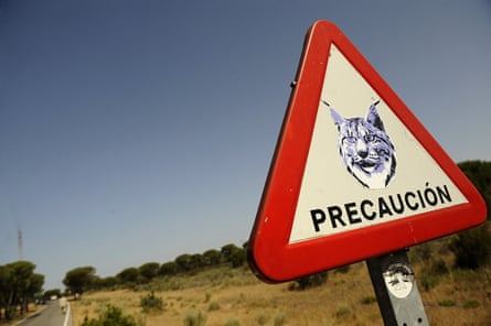 A road sign for lynx in the Doñana national park in south-western Spain