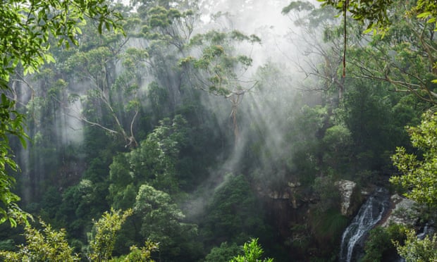 Morning mist above Twin Falls, Springbrook National Park, Queensland, Australia