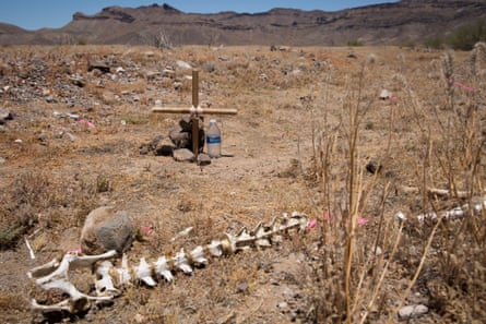 Not forgotten: a makeshift cross marks the spot where a body has been discovered, among the animal bones in the desert.