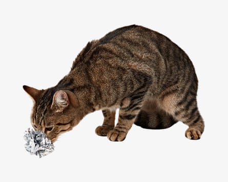 Pets at Home Scrunchie Ball Single Cat Toy