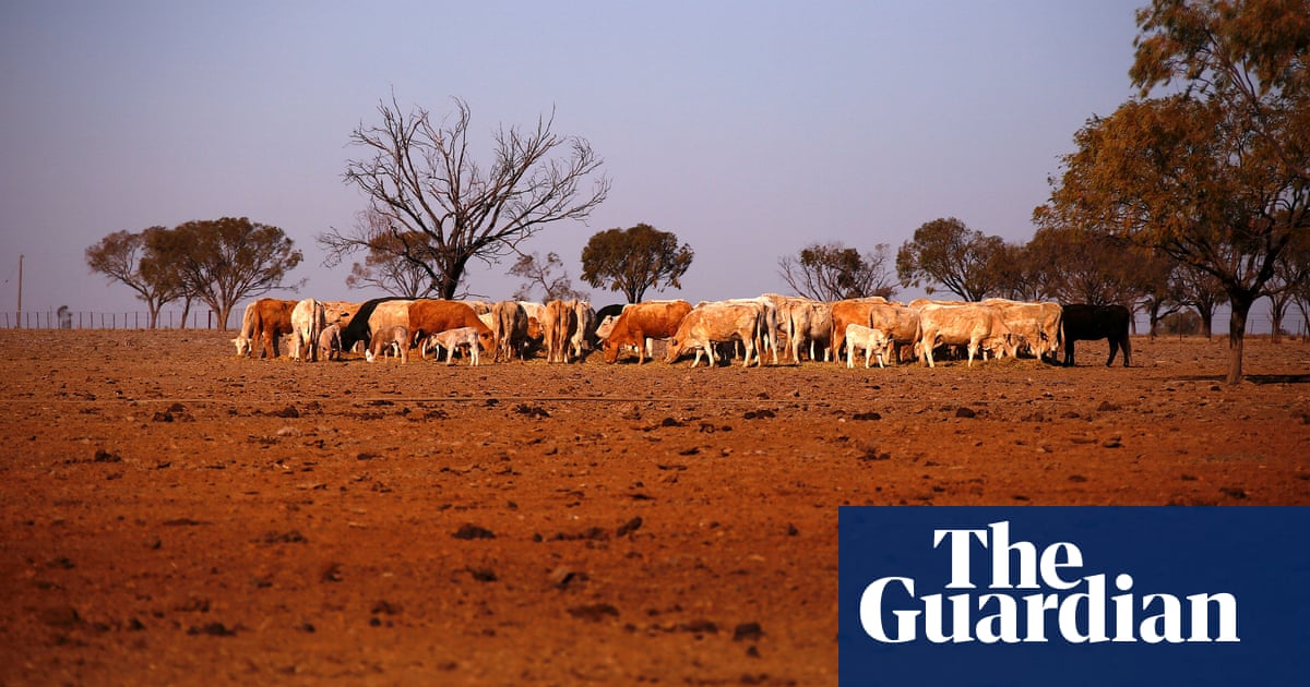 Drought to become more frequent and severe due to climate change – government report - The Guardian